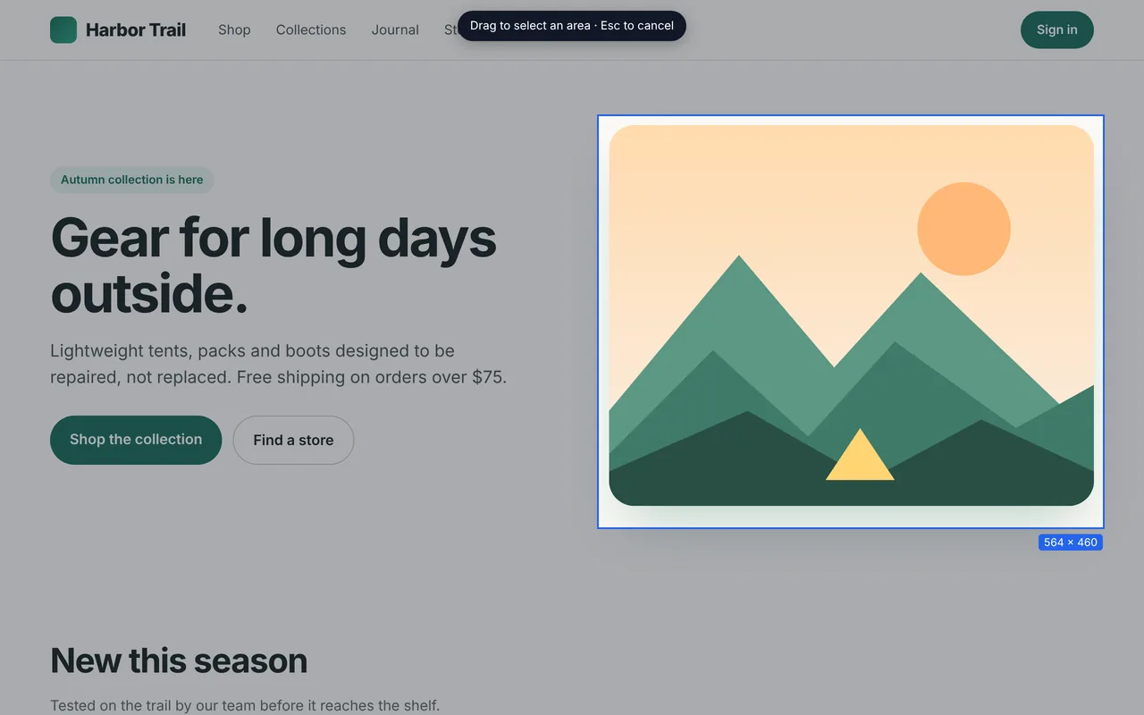 Region selection overlay: the page is dimmed and a blue box marks the area being dragged, with its size shown in pixels